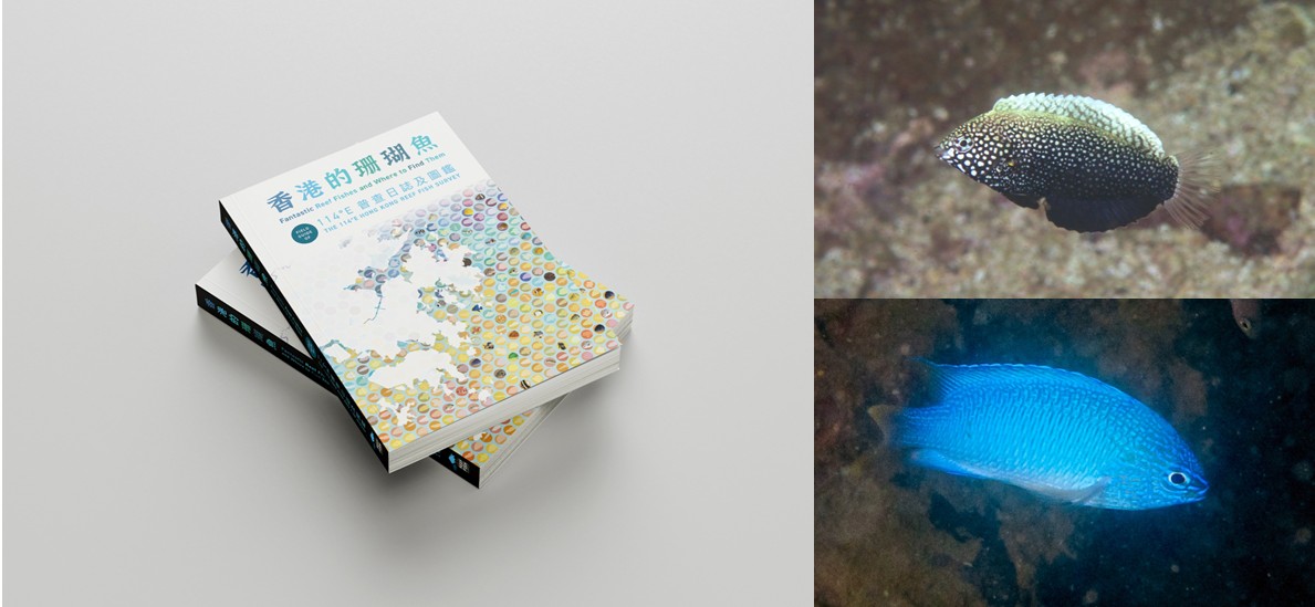 Fantastic Reef Fishes and Where to Find Them—Field Guide of the 114°E Hong Kong Reef Fish Survey features 422 reef fish species, including nine species that were not previously recorded in Hong Kong in any scientific literature.